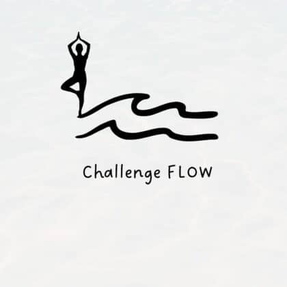 Challenge Flow 🌊